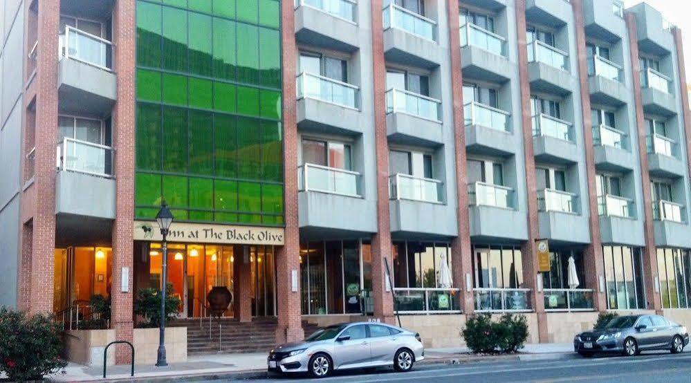 At The Black Olive Hotel Baltimore